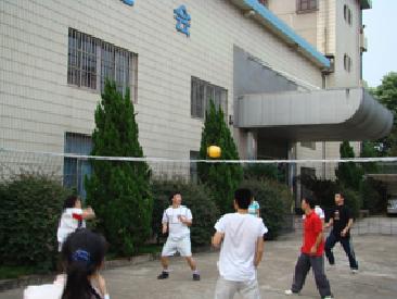 俄罗斯专享会294第四届排球角逐顺利闭幕