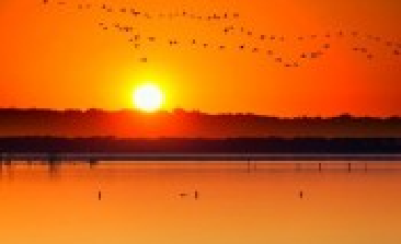 夕照 