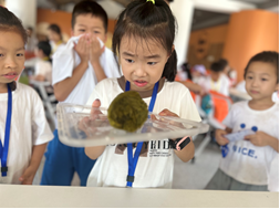 俄罗斯专享会294·VIP(中国区)官方网站